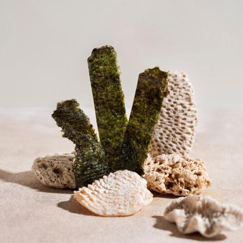 Aquarium Stones