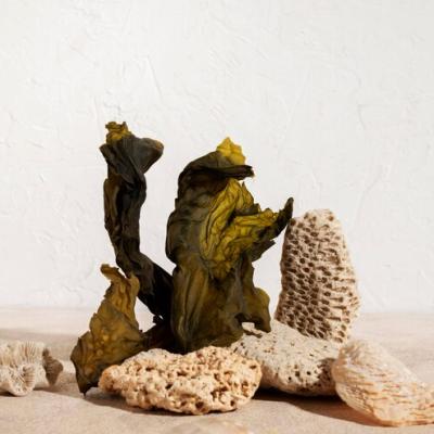 Aquarium Stones
