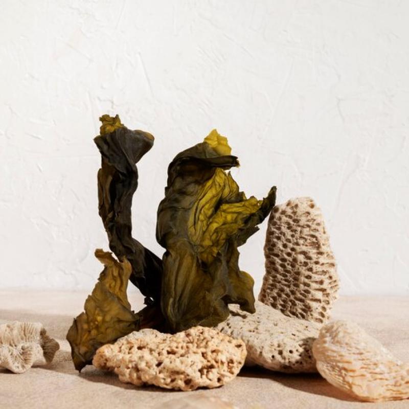 Aquarium Stones