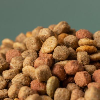 Cat Food