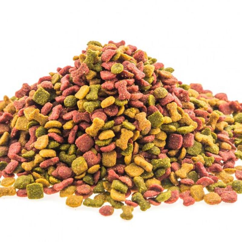 Dog Food
